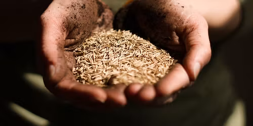 2026 Central Indiana Seed Swap