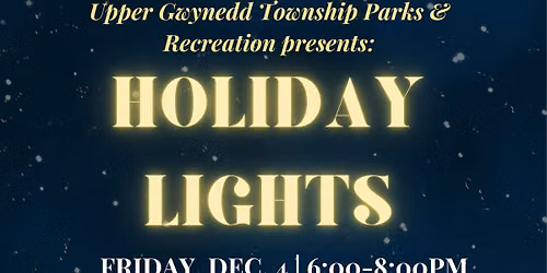 Holiday Lights