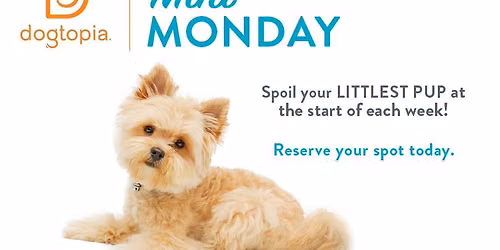Mini Monday * June 15