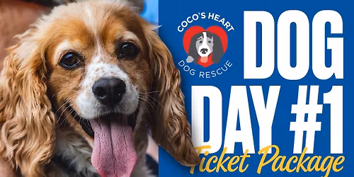 Take your dog to the ballgame! \ud83d\udc36