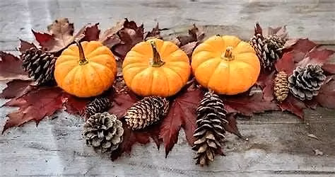 Barre at the Bar: Thanksgiving Edition