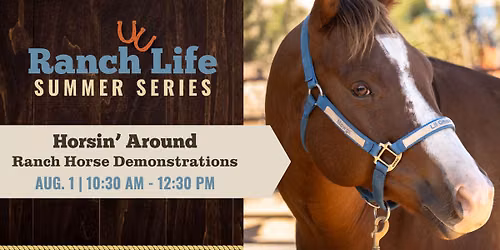 Horsin' Around | Ranch Life Summer Series