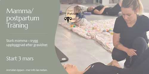 Mamma\/postpartum-tr\u00e4ning Steg 1 - 6 tillf\u00e4llen