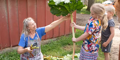 Rhubarb Fest