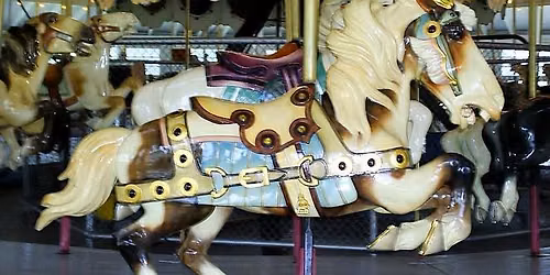 A Carousel Fairy Landing Party