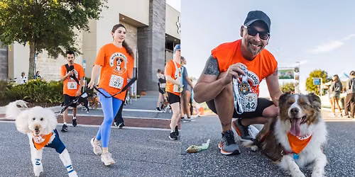 Halloween Edition - Wag & Waddle Pet Run\/Walk