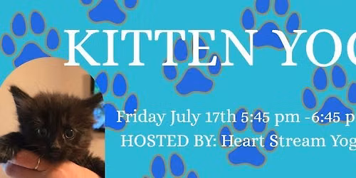 Kitten Yoga! \ud83d\udc3e