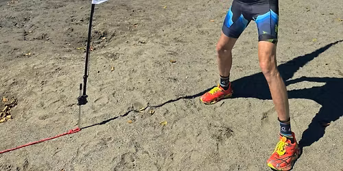 Westwood Lake Mudskipper and Open Water Swim ! 