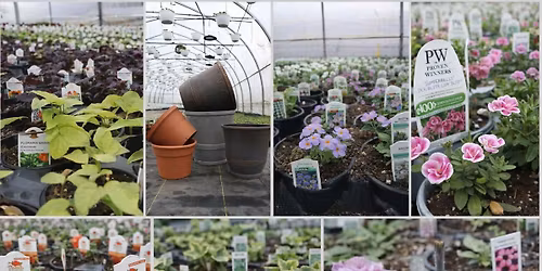 \ud83c\udf3f\ud83c\udf89 Spring Pot Workshop ~ Sunday 04\/26 \ud83e\udeb4\ud83d\udc9a