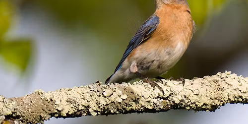 North Park Field Trip