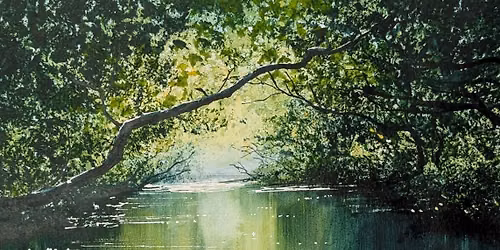 Reflections and Light in Watercolour