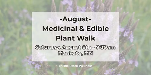 August Medicinal and Edible Plant Walk