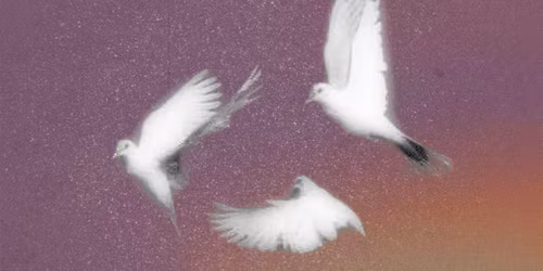 Tending the Mother: Unseen Grief