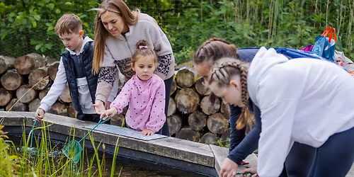 Quiet Pond Dipping