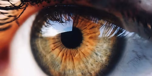 Shoden \/ First Teachings \/ Reiki I