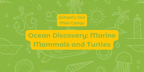 School's Out Mini Camp: Ocean Discovery: Marine Mammals and Turtles