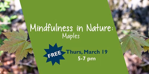 Mindfulness in Nature: Maples