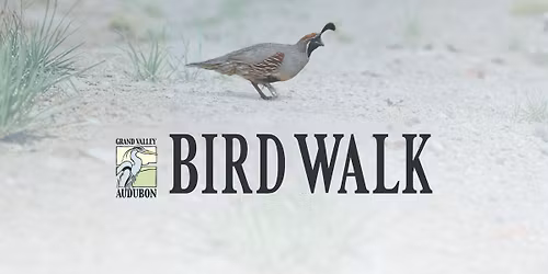 Bird Walk: Kindred Reserve
