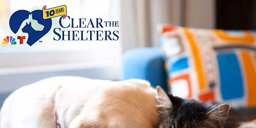 Adoption Event at Petco