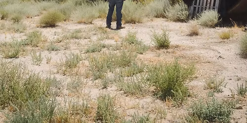 PAC LA - Power Flows: Artist Talk and Bike Tour