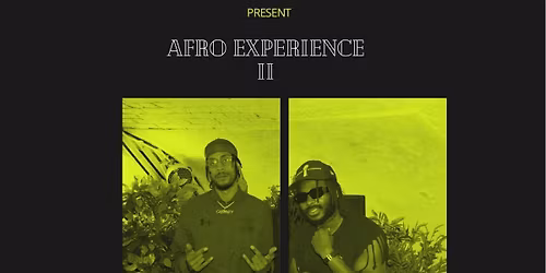 The Afro Experience 2