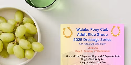 WPC Adult Ride 2025 Dressage Series - Day 3