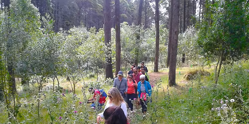 Caminhada Miradouros de Monsanto com Yoga