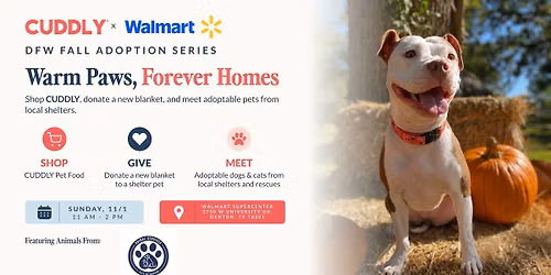 Walmart adoption event | Denton