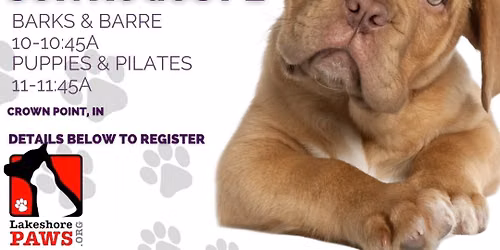 Puppies & Fitness