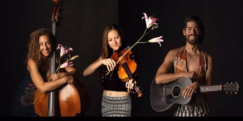 The Sweet Lillies