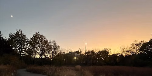 Bat Walk, the Greenway Botanical Garden at the Naval Cemetery