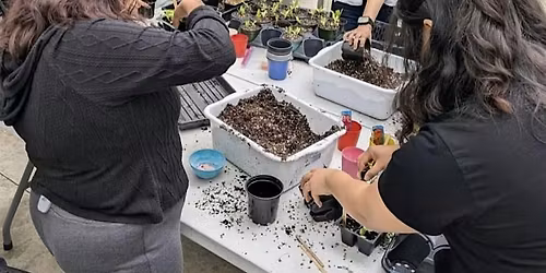 Indoor Plant Care and Propagation