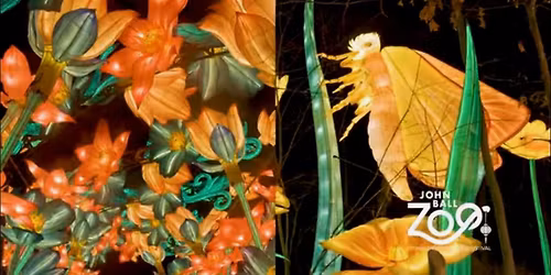 John Ball Zoo Lantern Festival Ride 