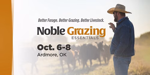 Noble Grazing Essentials