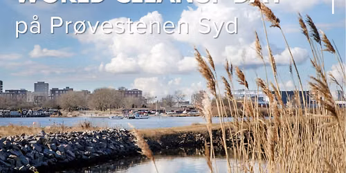 World Cleanup Day affaldsindsamling p\u00e5 Pr\u00f8vestenen Syd