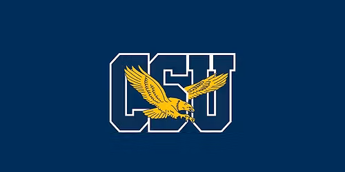 UMBC Retrievers at Coppin State Eagles Mens Basketball