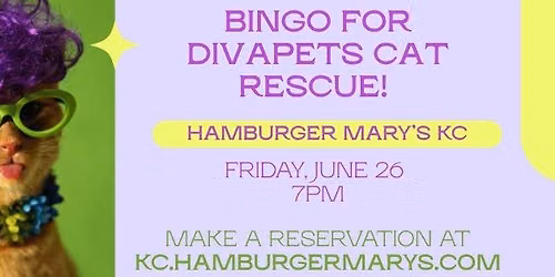 Drag Bingo at Hamburger Mary's for DivaPets