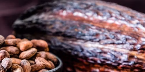 Cacao et Aub\u00e9pine Medecine Sacr\u00e9e du c\u0153ur Pleine Lune 