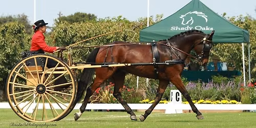 Horse Driving Clinic with Elisa Missio-Marocchi