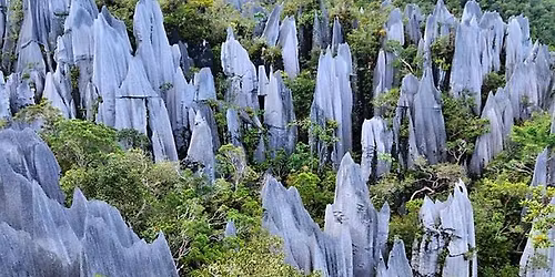 4D3N Mulu Showcase and Pinnacle 24-27 Jul 2026