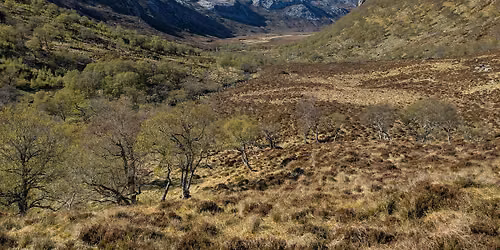 Guided Walk to Strath Coille na Fe\u00e0rna
