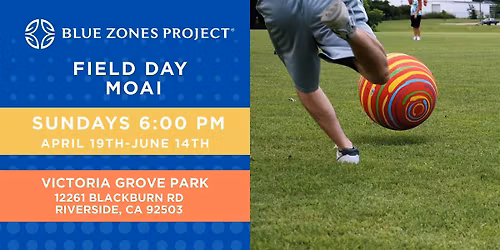 BZP Riverside: Field Day Moai