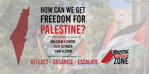 How Can We Get Freedom For Palestine?