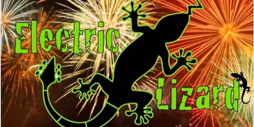 New Year's Eve with Electric Lizard at the Paris Hotel!