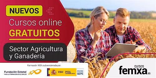 Curso GRATUITO online: organizaci\u00f3n del almac\u00e9n