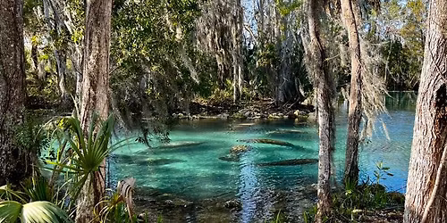 Camp & paddle Christmas break 2025