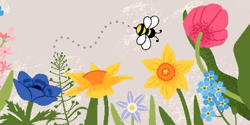 NATIVE GARDENING POLLINATOR EXPO