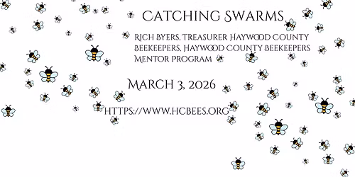 Haywood County Beekeepers - Catching Swarms