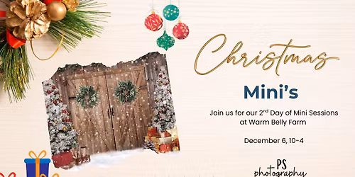 Last Minute Christmas Mini's