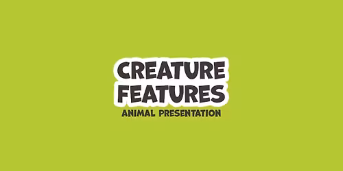 Creature Features: The African Mud Turtle and the Diamondback Terrapin
